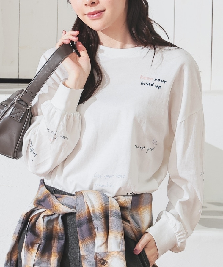 ブラウン・バニー プレミアムBOX 2000セット完全限定生産　Ｔシャツ付き。 ブラウン・バニー プレミアムBOX 2000セット完全限定生産 T