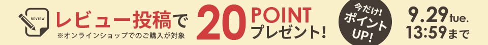 ���r���[�|�C���g20�|�C���g