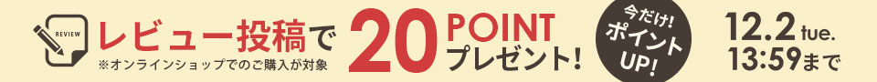 レビューで20ポイント