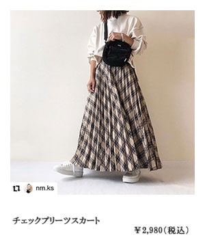 �`�F�b�N�v���[�c�X�J�[�g