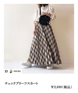 �`�F�b�N�v���[�c�X�J�[�g