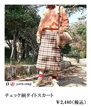 �`�F�b�N���^�C�g�X�J�[�g