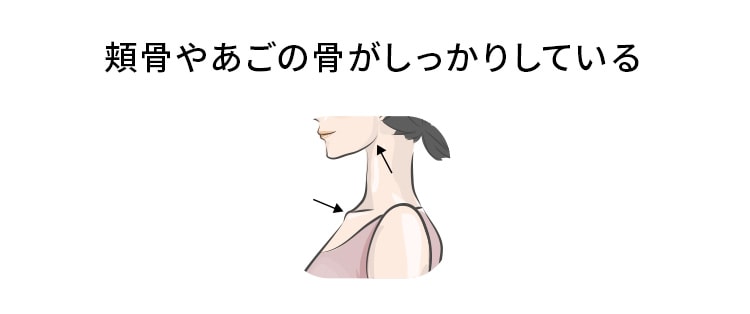 頬骨やあごの骨がしっかりしている