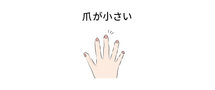 爪が小さい