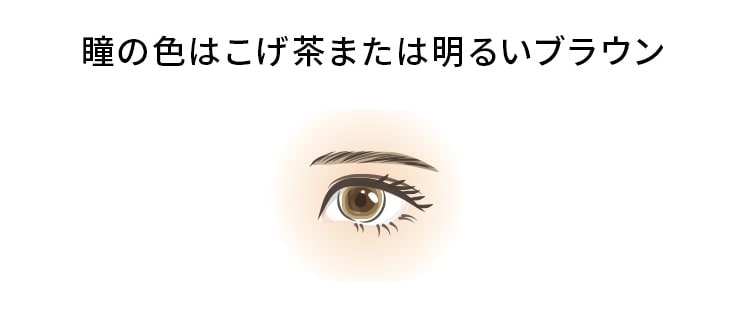 瞳の色はこげ茶または明るいブラウン