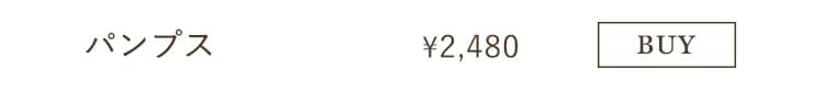 �p���v�X